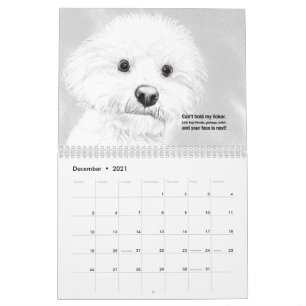 Katzen und Hunde 2021 Haiku-Kalender Kalender