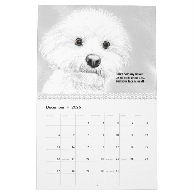 Katzen und Hunde 2021 Haiku-Kalender Kalender (Dez 2026)