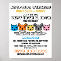 Katzen und Hunde, Adoption von Haustieren
