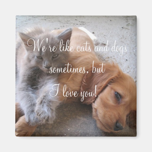 Katzen und Hunde Liebe Magnet (Vorne)