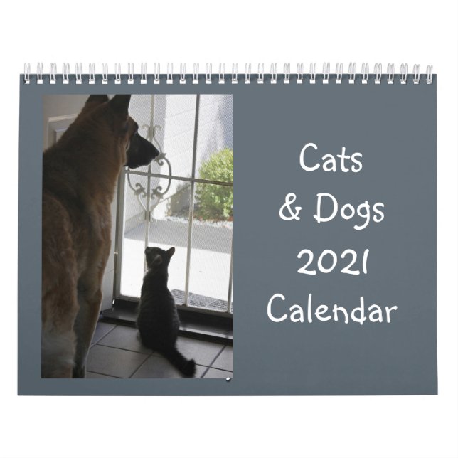 Katzen- und Hundekalender Kalender (Titelbild)