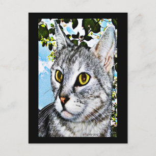Katzen und Natur "in voller Blüte" Digitale Kunst Postkarte