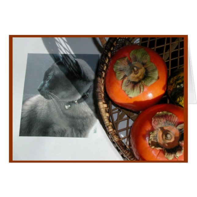 Katzen und Persimmonen (Vorderseite (Horizontal))
