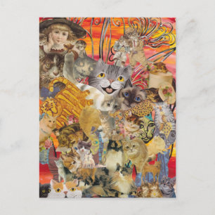 Katzen und viele Postkarten