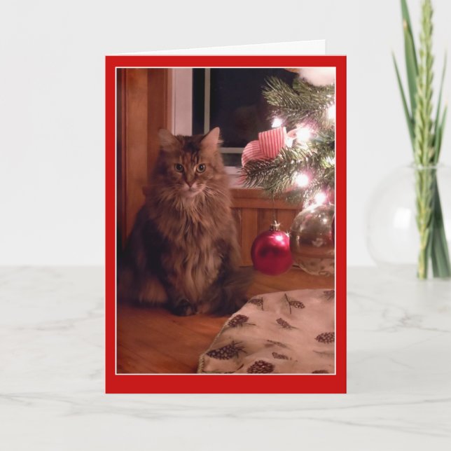Katzen- und Weihnachtsbaumverzierungs-Grußkarte Feiertagskarte (Vorderseite)