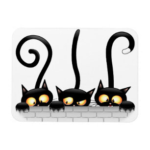 Katzen Ungezogene, spielerische und lustige Charak Magnet