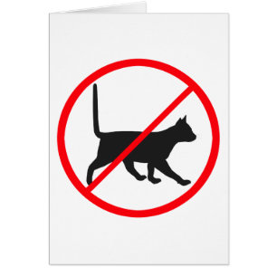Katzen verboten!
