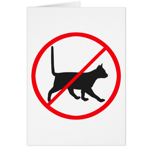 Katzen verboten! (Vorne)