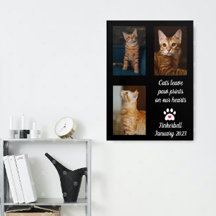 Katzen Verlassen Pawprints Cat Memorial Foto Col Poster