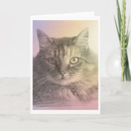 Katzen-Verlustkarte Karte