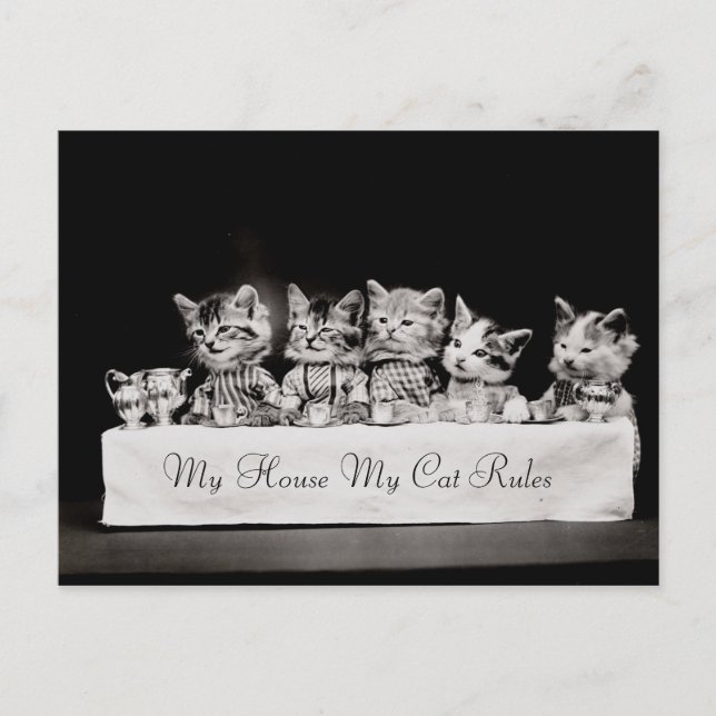 Katzen Vintager Tee Postkarte (Vorderseite)