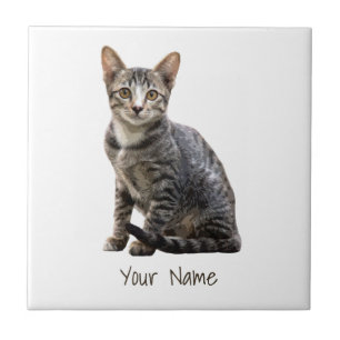 Katzen Vintages Portrait Pet Tomcat Tierdesign Fliese