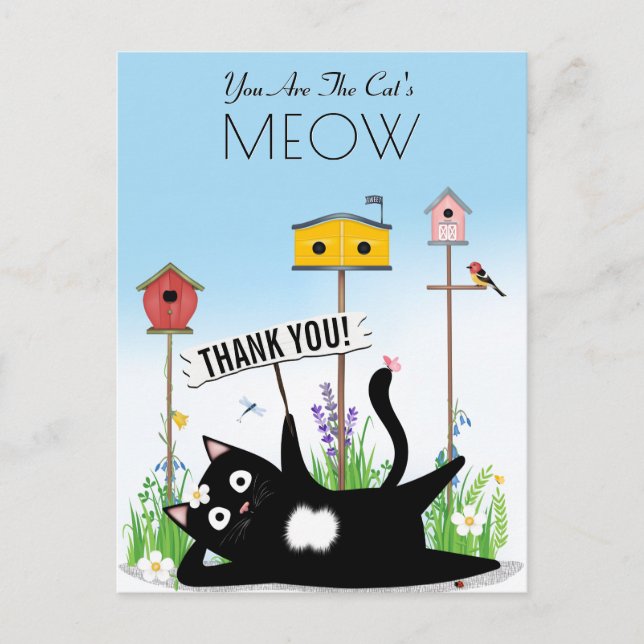 Katzen Vögel Garten Danke Postkarte (Vorderseite)