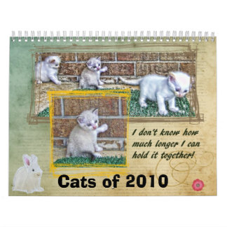 Katzen von 2010 kalender