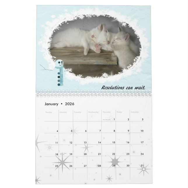 Katzen von 2010 kalender (Jan 2026)