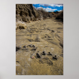 Katzen von Badlands Poster