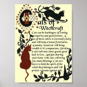 Katzen von Witchcraft-Poster Poster
