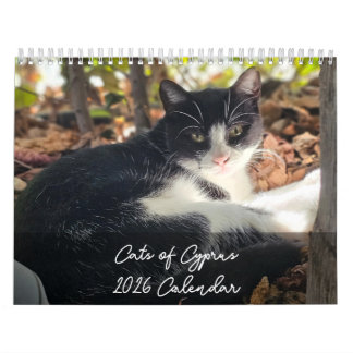 Katzen von Zypern 2026 B vom PaphosLife-Kalender Kalender