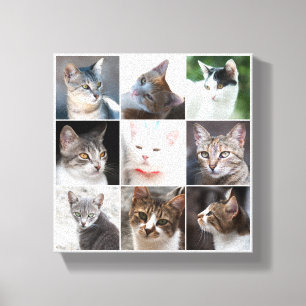 KATZEN - Vorlage Leinwanddruck