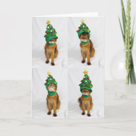 Katzen-Weihnachtsbaum-Hut-Gruß-Karte Feiertagskarte