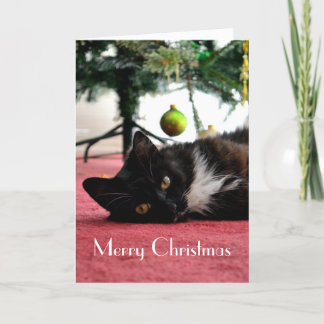 Katzen-Weihnachtskarte Feiertagskarte