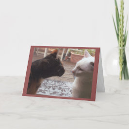 Katzen Willkommen Karte