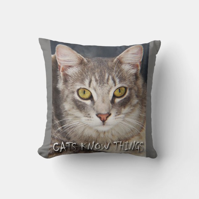 KATZEN WISSEN DINGE  KISSEN (Vorderseite)
