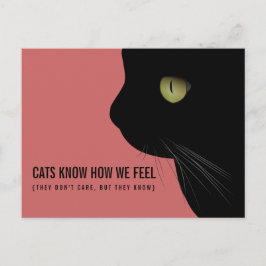 Katzen wissen, wie wir uns eine lustige Postkarte