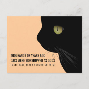 Katzen wurden als "Gods Funny Postcard" verehrt Postkarte