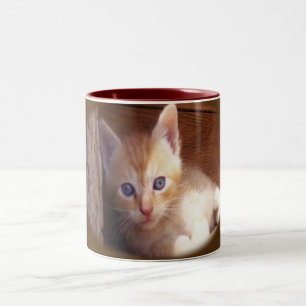Katzen Zweifarbige Tasse