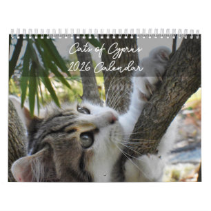 Katzen Zyperns nach PaphosLebenskalender Kalender