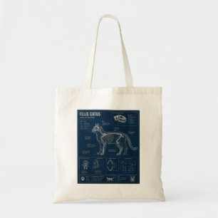 Katzenanatomie  tragetasche