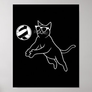 Katzenanzug-Sungles-Volleyball-Katze Poster
