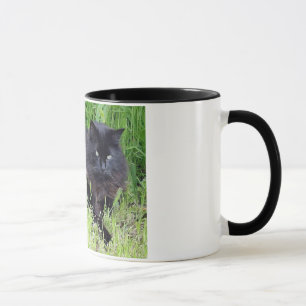 Katzenartiges königliches stolzes des flaumigen tasse