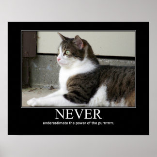Katzenartwork nie unterschätzen poster