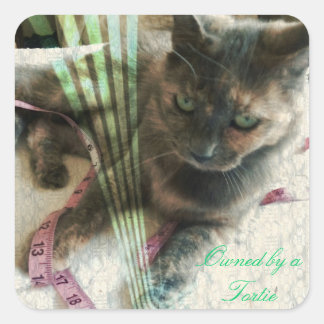Katzenaufkleber Quadratischer Aufkleber