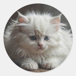 Katzenaufkleber Runder Aufkleber
