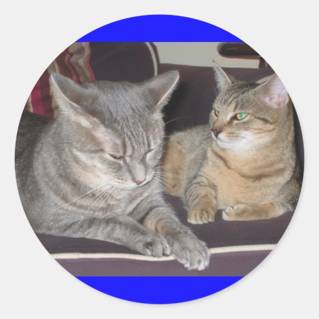Katzenaufkleber Runder Aufkleber (Vorderseite)
