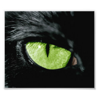 Katzenauge Fotodruck