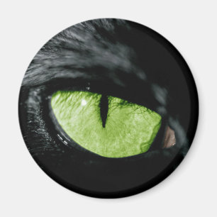Katzenauge Magnet