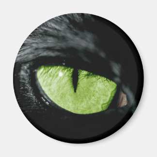 Katzenauge Magnet