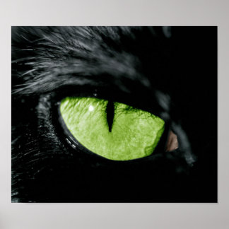 Katzenauge Poster