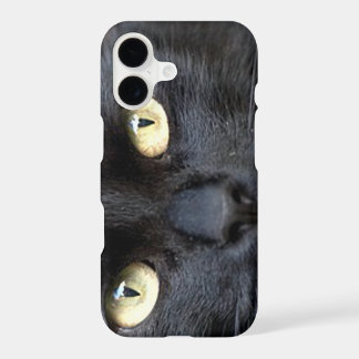 Katzenaugen