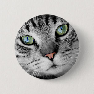 Katzenaugen Button