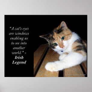 Katzenaugen-Fenster zu einer anderen Welt Poster