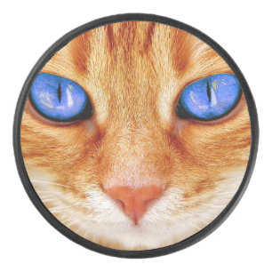 Katzenaugen Gesicht Tiger Makrele rot Katze Eishockey Puck