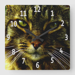 Katzenaugen Hypnotisierung Gerahmten Fotos Quadratische Wanduhr