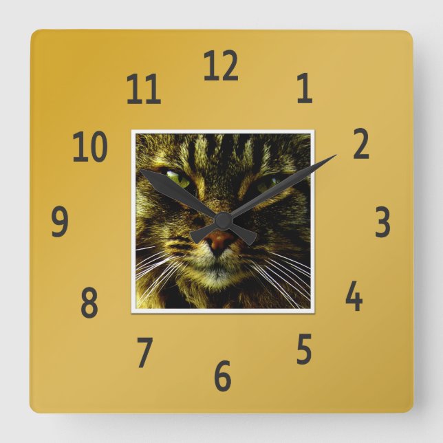 Katzenaugen Hypnotisierung Golden Gerahmtes Foto Quadratische Wanduhr (Vorderseite)