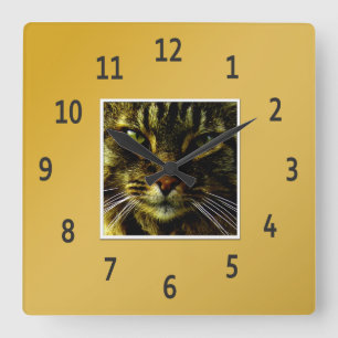 Katzenaugen Hypnotisierung Golden Gerahmtes Foto Quadratische Wanduhr