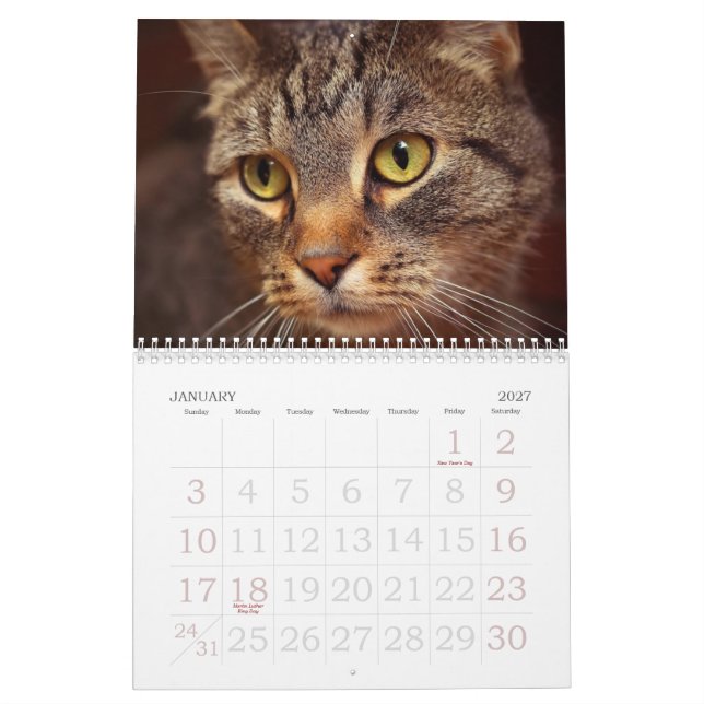 Katzenaugen Kalender (Jan 2027)